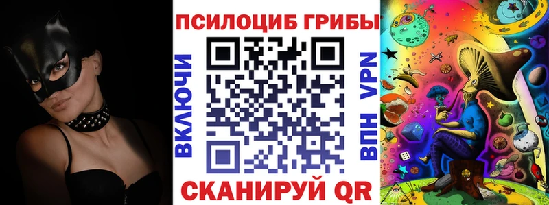 Купить где  Елабуга  Псилоцибиновые грибы MAGIC MUSHROOMS 